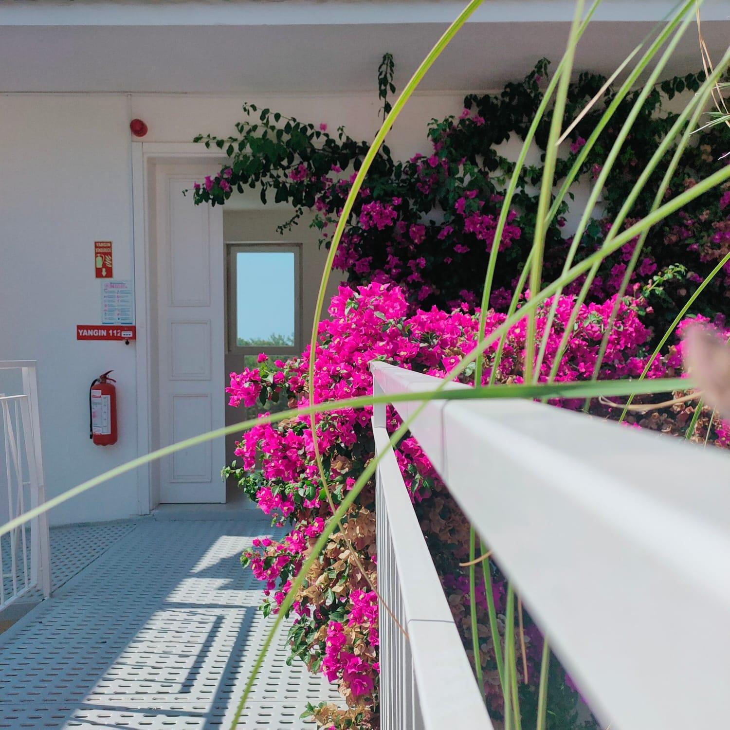 Faralya Tuz Apart Hotel المظهر الخارجي الصورة